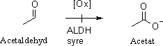 Oxidation av acetaldehyd till acetat.