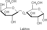 Laktos (mjölksocker).