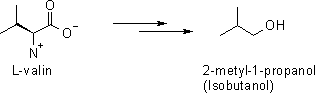 2-metyl-1-propanol.